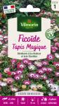 Fleurs - Ficoïde Tapis Magique - PACKAGING_RECTO